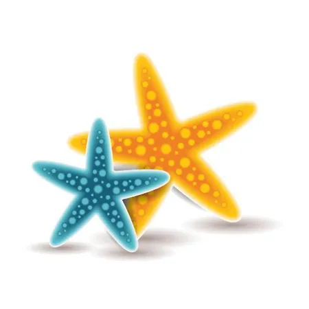 Dunas Alvor- Viva Local * Alvor