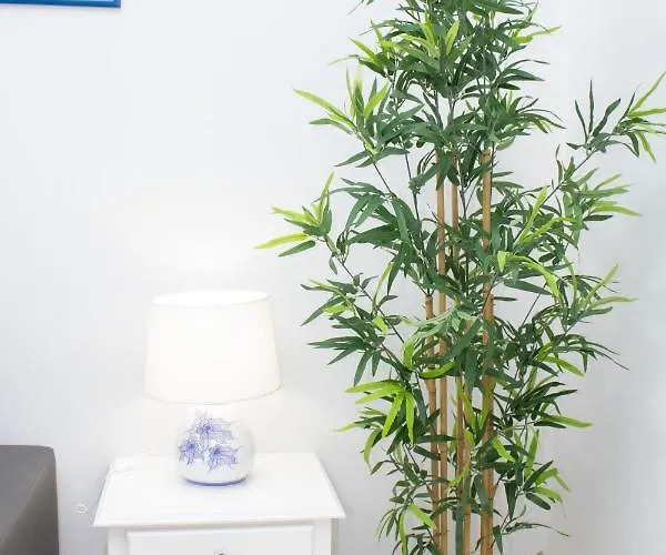 Lejlighed Dunas Alvor- Viva Local